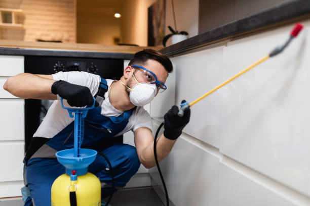 Best Local Pest Control Services  in Dundee, MI