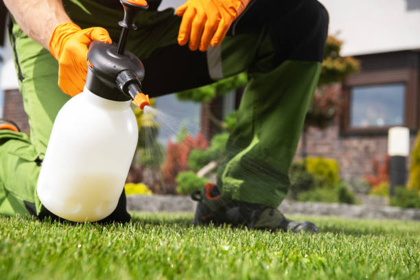 Pest Prevention Services in Dundee, MI