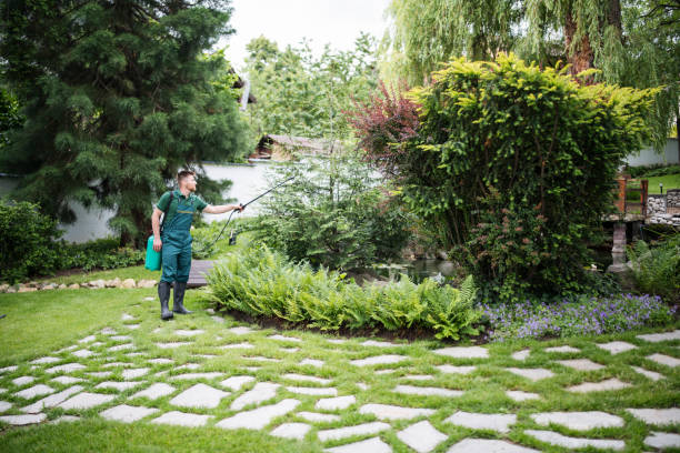 Best Mosquito Control Services  in Dundee, MI