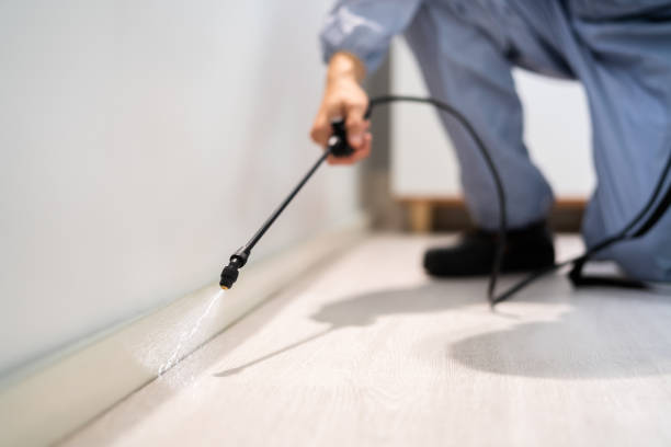 Best Pest Prevention Services  in Dundee, MI
