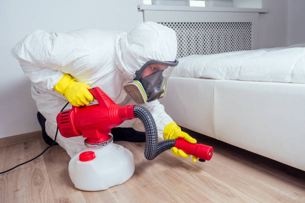 Best Termite Control Services  in Dundee, MI
