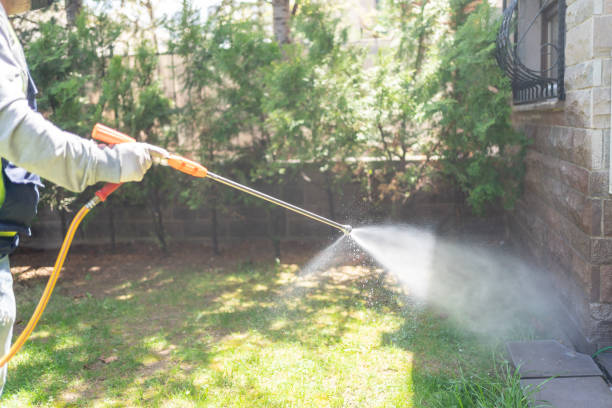 Best Pest Removal Services  in Dundee, MI