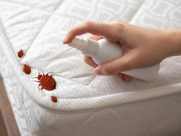 Best Flea Control Services  in Dundee, MI