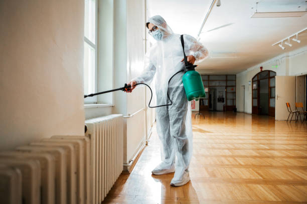 Best Exterminator Services  in Dundee, MI