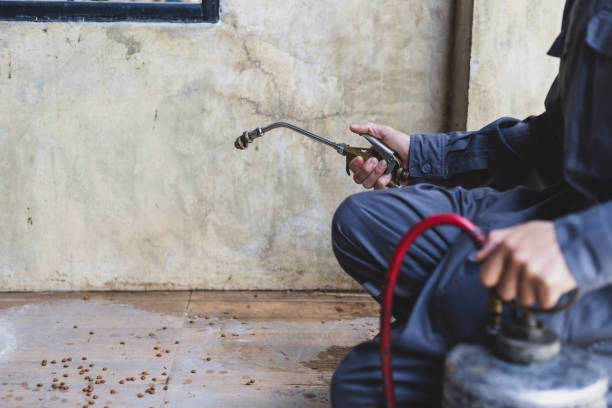 Professional Pest Control in Dundee, MI